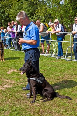 Polis köpeklerinin onların disiplin göster