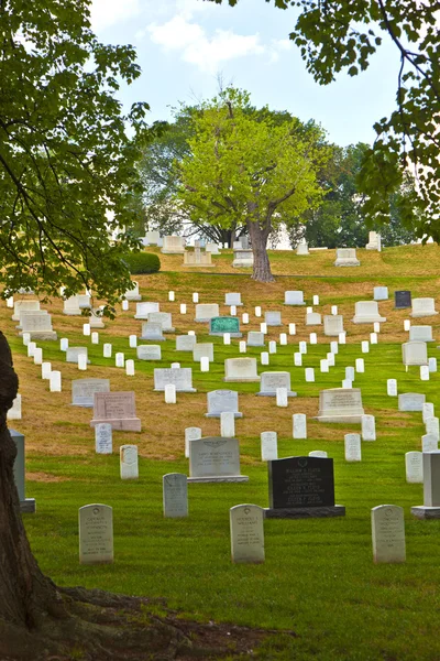 在阿灵顿国家公墓的墓碑 — 图库照片