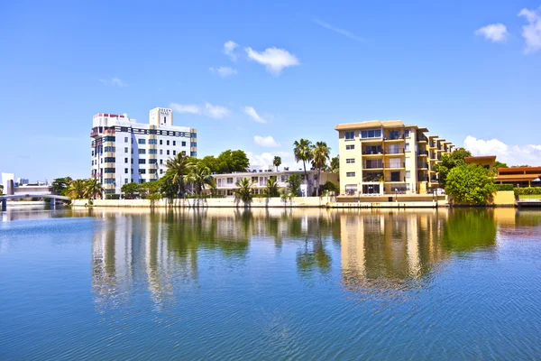 Apartamentos em Palm Tree Drive no sul de Miami com céu azul claro — Fotografia de Stock