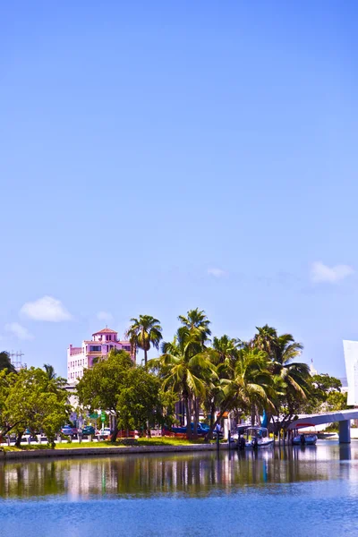 Appartementen in palmboom rijden in Zuid-miami met heldere blauwe hemel — Stockfoto