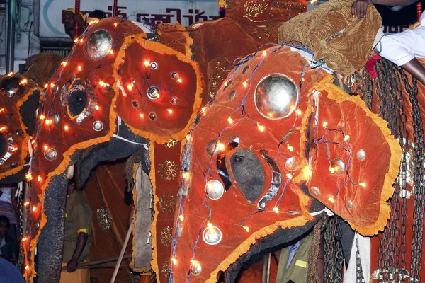 Gli elefanti partecipano al festival Pera Hera a Candy — Foto Stock