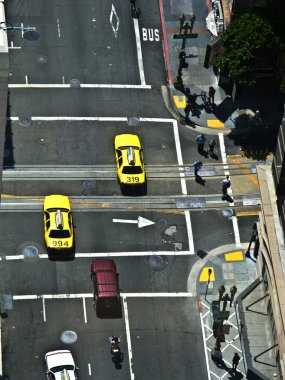 san francisco sokaklarında görünümüne kuşlar