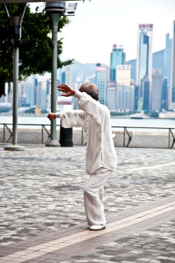 tai chi öğrenmek öğretmen genç öğretir