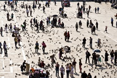 san marco meydanına büyük bir sürü Güvercin beslemek turistlere