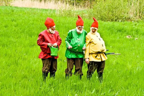 Three garden gnomes enjoy children at the festival for inaugurat — Stock Photo, Image