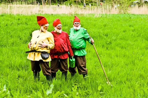 Три садові гноми насолоджуватися дітей на фестивалі для inaugurat — стокове фото