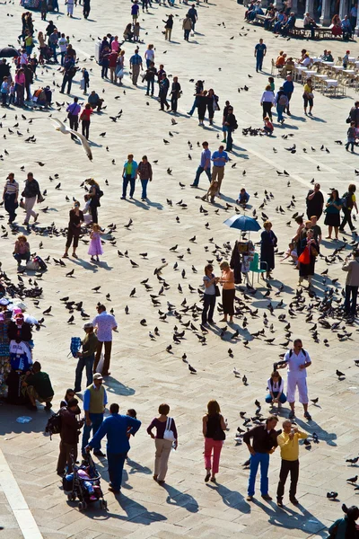 I turisti su Piazza San Marco nutrono un grande gregge di piccioni — Foto Stock