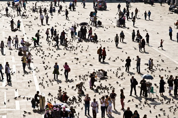 A San Marco tér turisták takarmány nagy nyájjal galambok — Stock Fotó