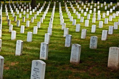 Headstones at the Arlington national Cemetery clipart