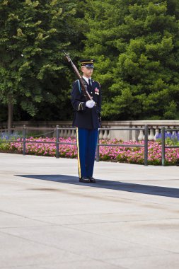 bekçi arlington Ulusal Mezarlığı Washington, değiştirme