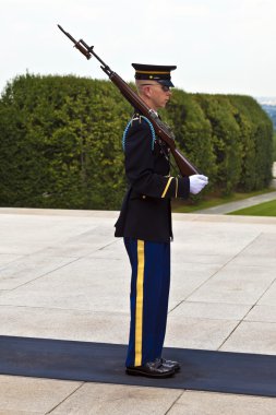 bekçi arlington Ulusal Mezarlığı Washington, değiştirme