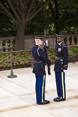 bekçi arlington Ulusal Mezarlığı Washington, değiştirme