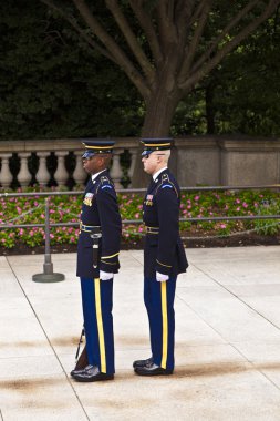 bekçi arlington Ulusal Mezarlığı Washington, değiştirme