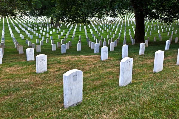 Gravar på arlington national cemetery i washington — Stockfoto
