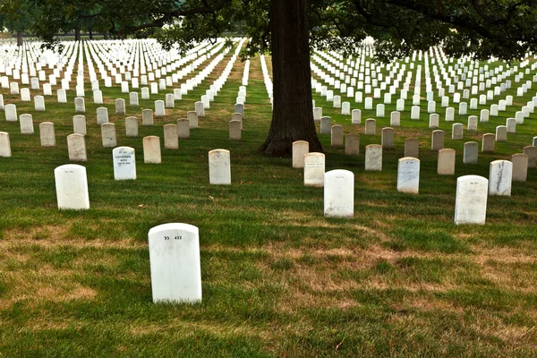 Tumbas en el cementerio nacional de Arlington en Washington —  Fotos de Stock