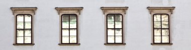 Viyana'daki hofburg cephe, eski windows