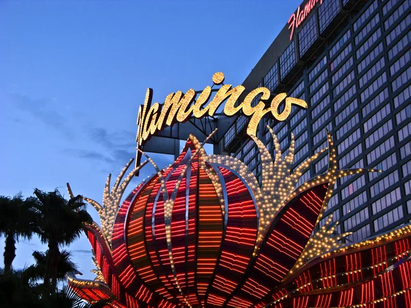 Flamingo hotel ve las vegas Las Vegas Kumar yeri — Stok fotoğraf