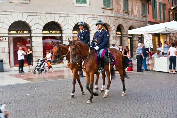 Полицейские с лошадьми наблюдают за пейзажем у входа — стоковое фото