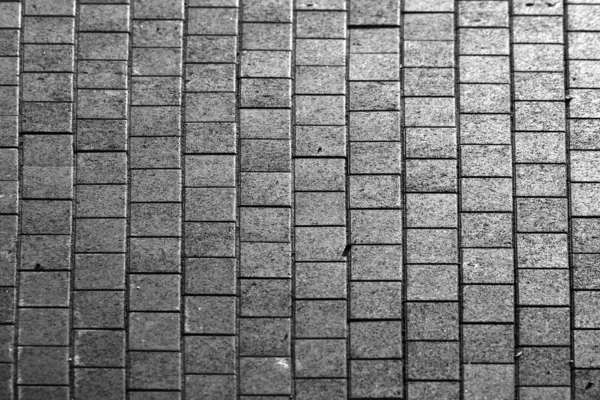铺瓷砖的灰色 — 图库照片