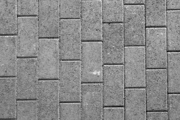 灰色の舗装タイル — ストック写真