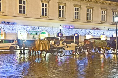 stefansplatz Viyana'nın kalbinde, at temelli taşıma