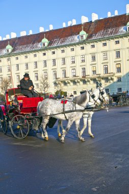 Driver of the fiaker waitinmg for tourisdts in vienna clipart