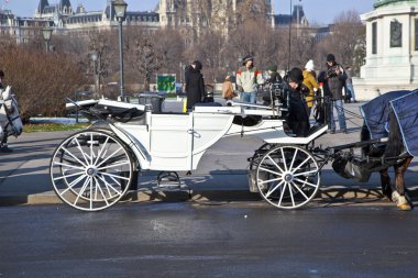 at fiaker turistik Viyana hofburg çizilmiş