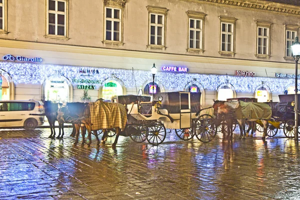 stefansplatz Viyana'nın kalbinde, at temelli taşıma