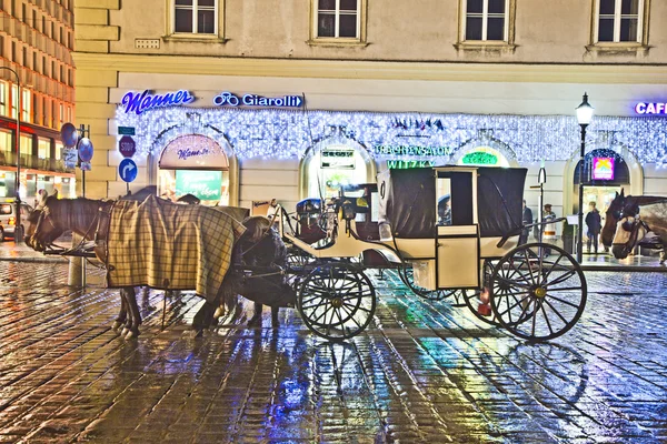 Horse-driven carriage at Stefansplatz in the heart of Vienna — Stock Photo, Image