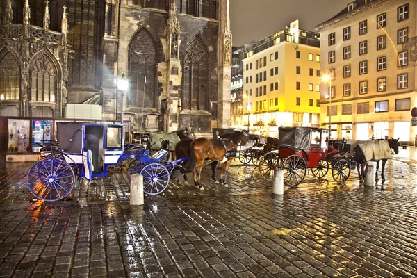 Άλογο με γνώμονα μεταφορά στο stefansplatz, στην καρδιά της Βιέννης — Φωτογραφία Αρχείου