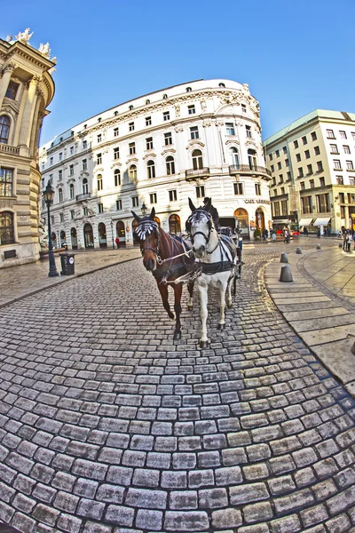 Velho café Griensteidl em Viena — Fotografia de Stock