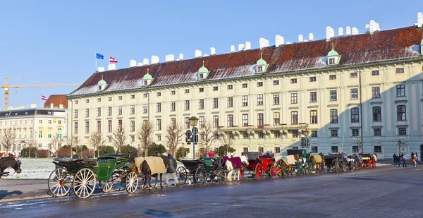 Fiaker caballo dibujado en el Hofburg para los turistas en Viena —  Fotos de Stock