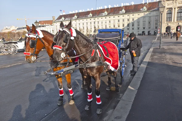 Fiaker caballo dibujado en el Hofburg para los turistas en Viena — Foto de Stock