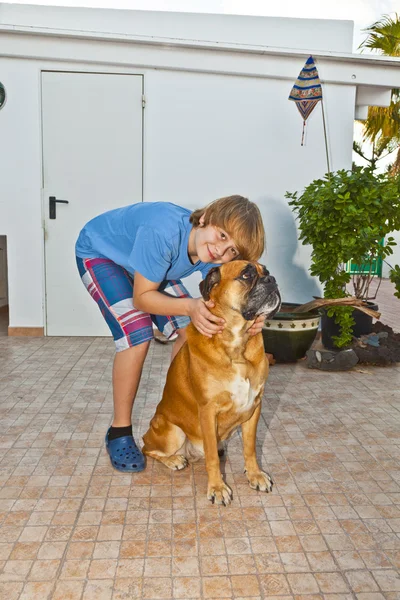 Niño jugando con su friedn, un perro boxeador — Foto de Stock