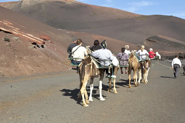 Turistas montados em camelos sendo guiados por locais através de t — Fotografia de Stock