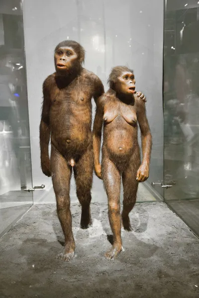 Humanos en el Museo Americano de Historia Nacional — Foto de Stock