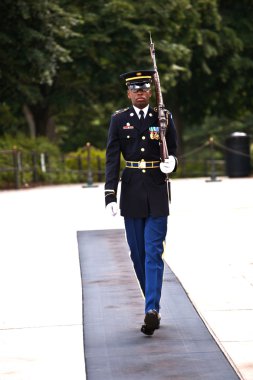 Changing the guard in the afternoon at the grave of the unknown clipart