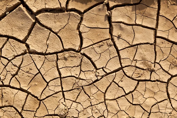 Kuru çatlamış toprak dokusu — Stok fotoğraf