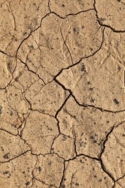 Texture terra crepa secca — Foto Stock