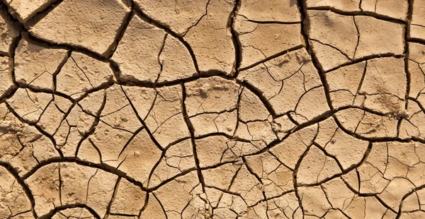 Textura seca da terra rachada — Fotografia de Stock
