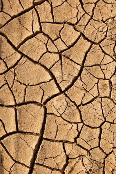 Kuru çatlamış toprak dokusu — Stok fotoğraf