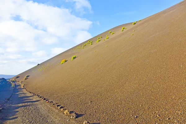 Vegetação esparsa em colinas vulcânicas no Parque Nacional Timanfaya w — Fotografia de Stock