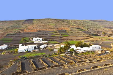 Farmhouse in rural hilly area in Lanzarote clipart