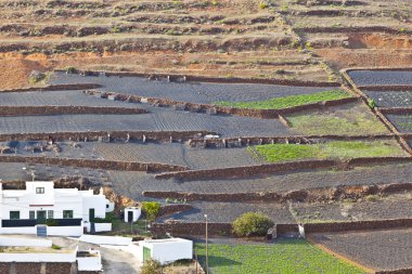 çiftlik evinde dağlık bölgede kırsal: lanzarote