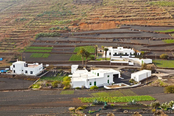 stock image Farmhouse in rural hilly area in Lanzarote