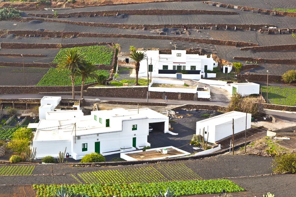 Farmhouse in rural hilly area in Lanzarote — Stock Photo, Image