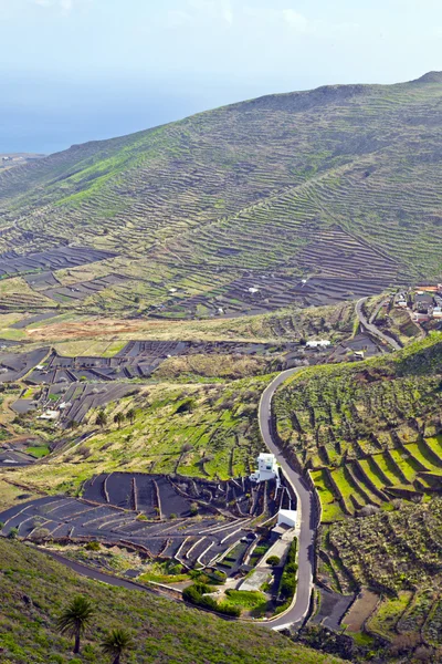 Landscape Lanzarote, terrace cultivation near Haria — Stock Photo, Image