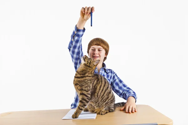 Smart kille lärande för skolan har en paus och spelar med sin katt — Stockfoto