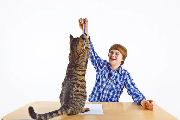 Intelligente ragazzo apprendimento per scuola ha un pausa e gioca con il suo gatto — Foto Stock