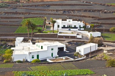 Farmhouse in rural hilly area in Lanzarote clipart